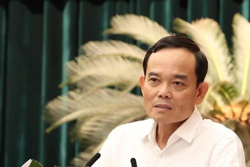 Bí thư Thành ủy TPHCM Trần Lưu Quang: 'Chúng ta không có đường lùi...'