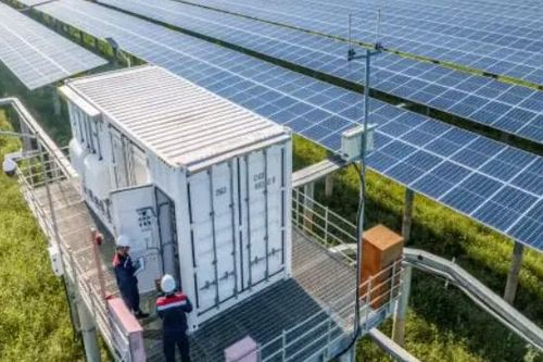Cà Mau đầu tư nhà máy điện mặt trời kết hợp pin lưu trữ hơn 800 tỷ đồng