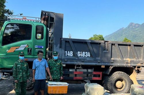 Phát hiện xe chở 400kg nầm lợn đông lạnh không rõ nguồn gốc