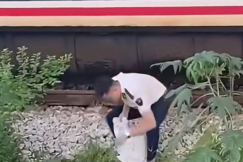 Người đàn ông tử vong do tàu khách SE20 va trúng
