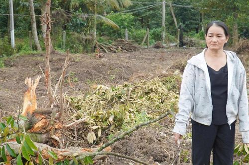 Người phụ nữ đốn hơn 100 cây sầu riêng, giúp bộ đội tìm 71 hài cốt liệt sĩ