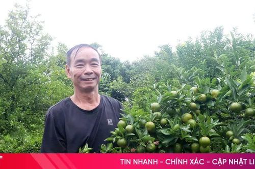 Khai thác lợi thế, nâng giá trị kinh tế vườn đồi Xuân Lộc