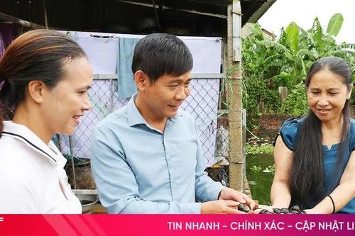 Nuôi ốc bươu đen – hướng đi mới giúp hội viên nông dân xã Đức Quang nâng cao thu nhập
