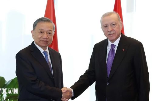 Tổng Bí thư, Chủ tịch nước Tô Lâm gặp Tổng thống Thổ Nhĩ Kỳ