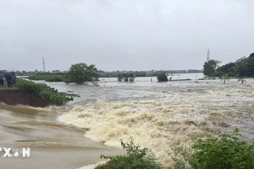 Gia Lai chủ động ứng phó mưa lũ lớn, đảm bảo an toàn cho người dân
