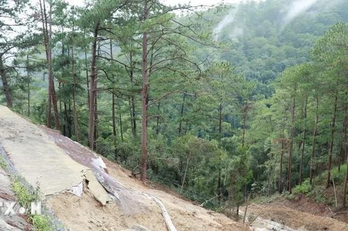 Lâm Đồng ứng phó, khắc phục hậu quả mưa lũ, sạt lở
