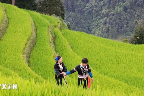 Lào Cai đón hơn 9,8 triệu lượt khách trong 9 tháng năm 2026