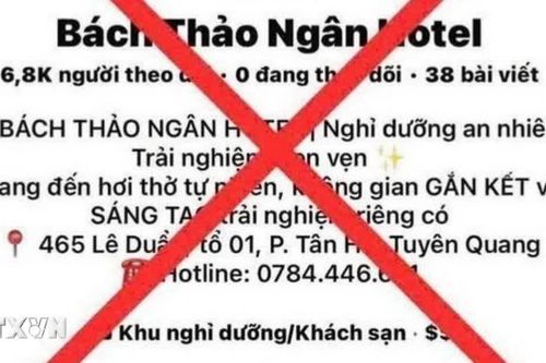 Cảnh báo việc lợi dụng sức hút của Lễ hội Thành Tuyên để lập các Fanpage lừa đảo