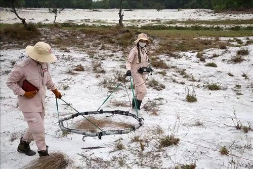 Hướng sử dụng nguồn lực dự án phi chính phủ sát nhu cầu thực tiễn