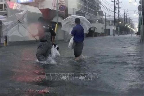 Bão Dujuan làm hàng chục người thương vong tại Nhật Bản