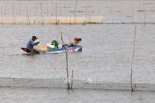 Chủ động xả lũ, đón phù sa về đồng ruộng