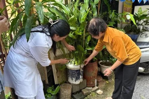 Hà Nội tích cực vệ sinh môi trường phòng dịch sốt xuất huyết