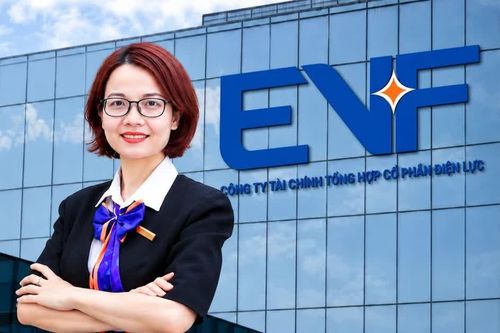 Kế toán trưởng của công ty chuyên thu xếp vốn cho các dự án điện từ nhiệm sau 4 tháng giữ chức