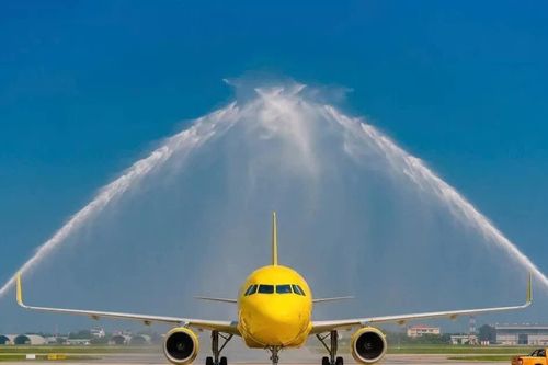Vietravel Airlines đón thêm tàu bay Airbus A321