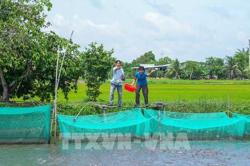 Xây dựng nông thôn mới Tây Ninh: Không thể một khuôn cho mọi nơi