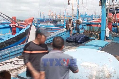 Vươn khơi khai thác thủy sản mùa biển động