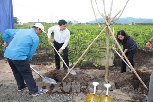 Từ xử lý rác sang không tạo thêm rác ở Tây Ninh