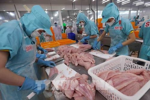 Cần Thơ thúc đẩy doanh nghiệp chuyển đổi số, sản xuất xanh