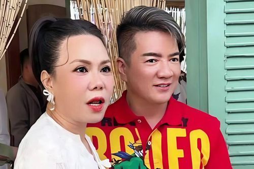 Tuyên bố của Đàm Vĩnh Hưng về Việt Hương