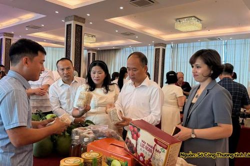 Lâm Đồng kết nối giao thương, mở rộng thị trường tại Bắc Ninh