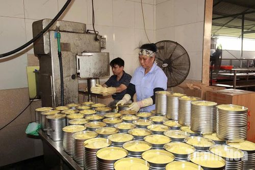 Doanh nghiệp xuất khẩu tìm cách giảm phụ thuộc vào một thị trường