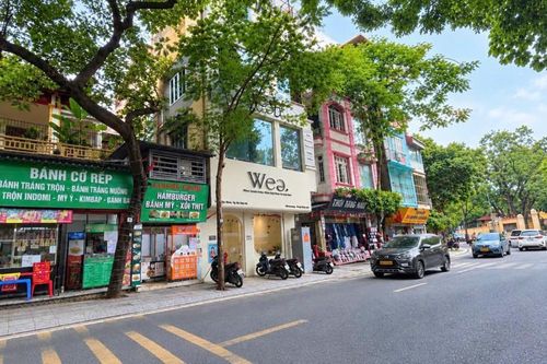 Từng không gian đô thị cần bố trí cây xanh phù hợp