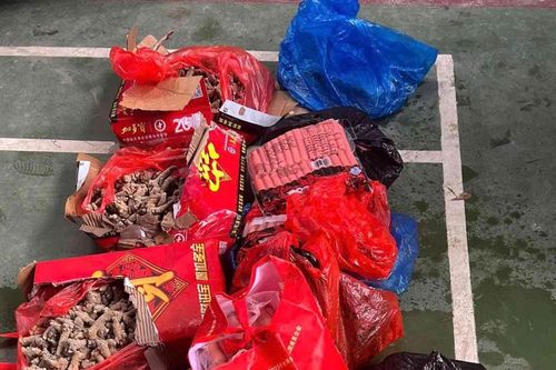 Phát hiện hàng trăm kg lạp xưởng, xúc xích, thịt xiên đông lạnh không rõ nguồn gốc