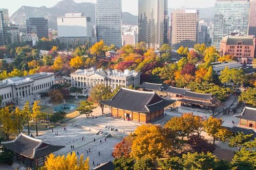 Tour ngắm lá đỏ 2026: Trung Quốc và Hàn Quốc được ưa chuộng