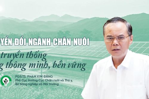 Chuyển đổi ngành chăn nuôi: Từ truyền thống sang thông minh, bền vững