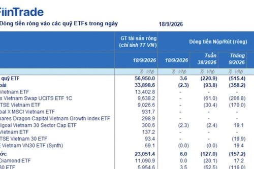 Đến lượt các ETF nội mạnh tay rút ròng