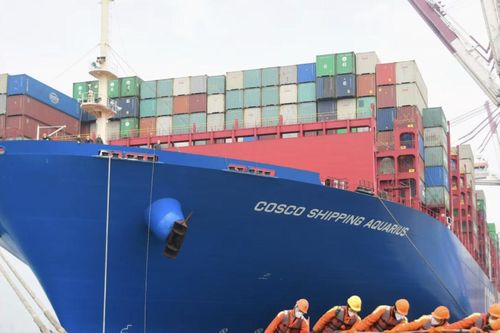 Giá diesel sinh học dùng cho vận tải biển giảm mạnh