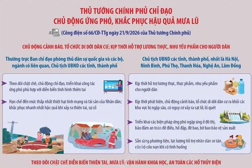 Thủ tướng Chính phủ chỉ đạo chủ động ứng phó, khắc phục hậu quả mưa lũ