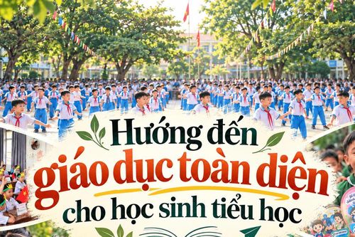Hướng đến giáo dục toàn diện cho học sinh tiểu học