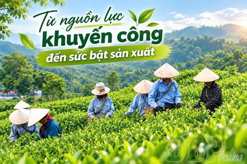 Từ nguồn lực khuyến công đến sức bật sản xuất