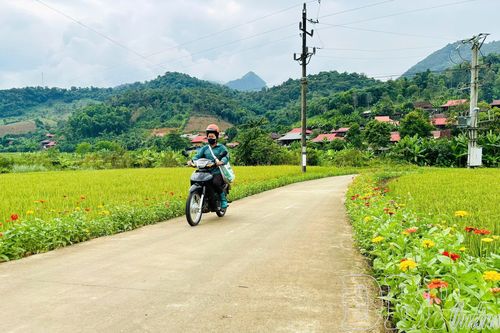Xây dựng nông thôn mới trong giai đoạn mới