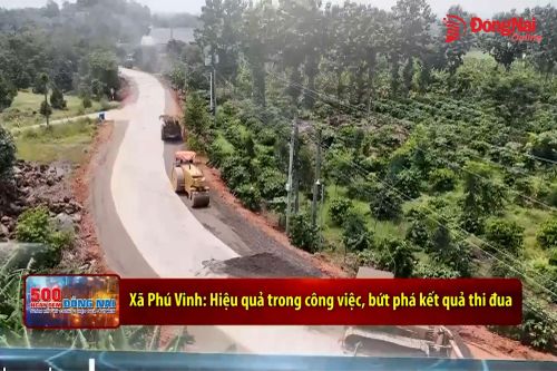 [Video] Xã Phú Vinh: Hiệu quả trong công việc, bứt phá kết quả thi đua