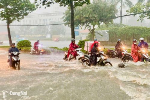 Lũ trên sông Đồng Nai ở mức báo động 2, cảnh báo ngập lụt một số khu vực