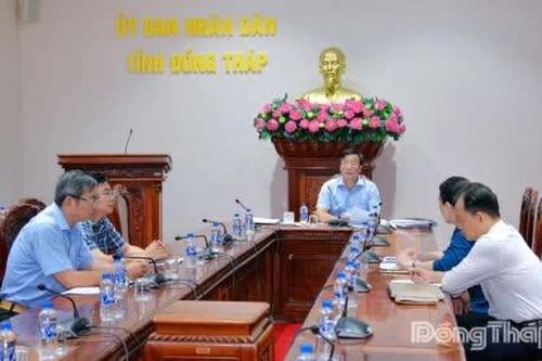 Đồng Tháp chuẩn bị tiếp nhận 12 cá thể sếu đầu đỏ