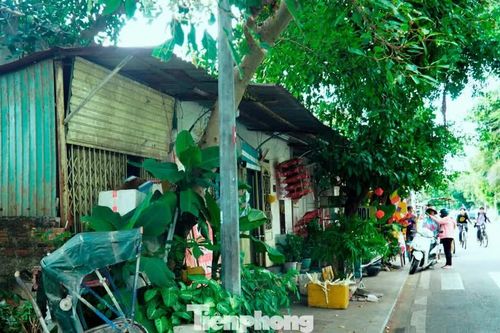 Vướng mặt bằng, dự án bảo tồn Kinh thành Huế chậm tiến độ