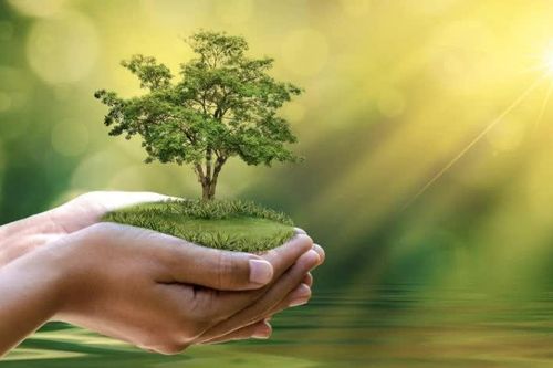 Từ 1-11, dự án thế nào mới được công nhận là “dự án xanh”?