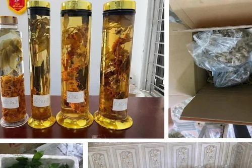 Sâm Lai Châu “đội lốt” sâm Ngọc Linh: Người từng mua hàng qua mạng cần kiểm tra ngay