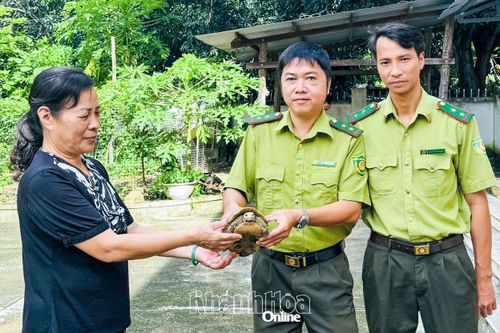 Tăng cường bảo vệ động vật hoang dã
