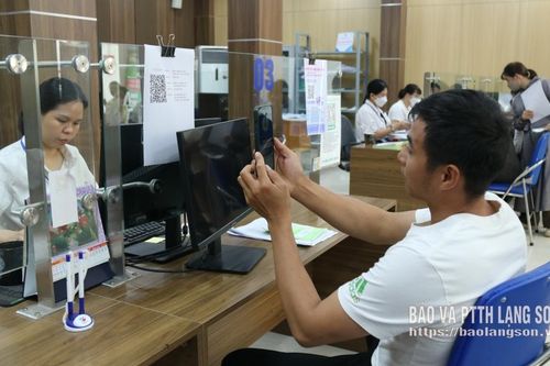 Đa dạng kênh kết nối việc làm