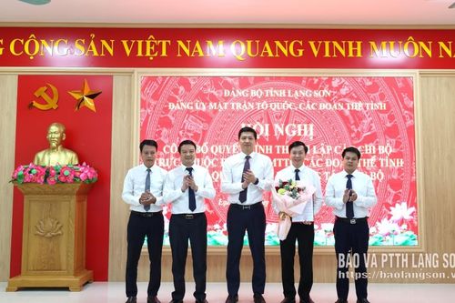 Công bố quyết định thành lập các chi bộ và quyết định về công tác cán bộ