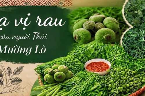 Lạ vị rau của người Thái Mường Lò