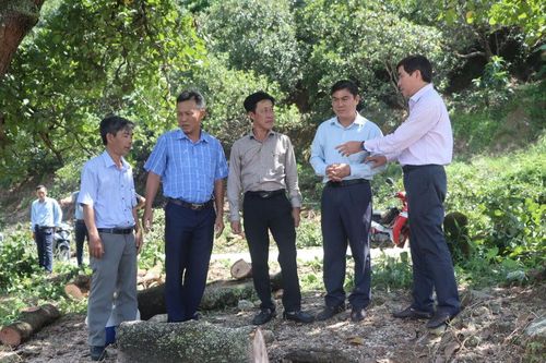 Nam Thành: Ra quân phát động bàn giao giải phóng mặt bằng tuyến ĐT717