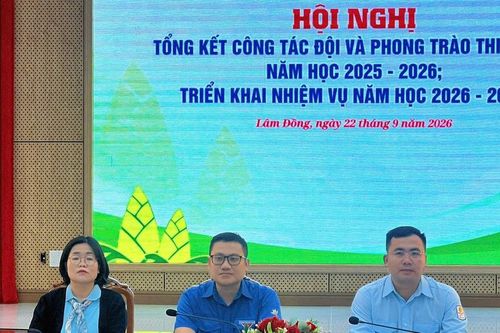 Lâm Đồng đẩy mạnh hoạt động Đội, đồng hành cùng thiếu nhi