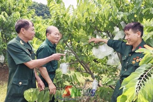 Đồng hành cùng hợp tác xã phát triển bền vững