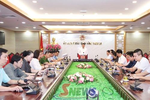 Rà soát công tác chuẩn bị tổ chức 'Ngày hội Đổi mới sáng tạo và Chuyển đổi số tỉnh Sơn La năm 2026'
