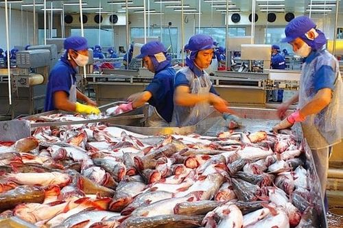 Xuất khẩu cá tra 8 tháng: Trung Quốc và Brazil tạo lực đẩy, Mỹ giảm mạnh